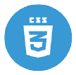 CSS logo