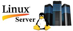 Linux server logo