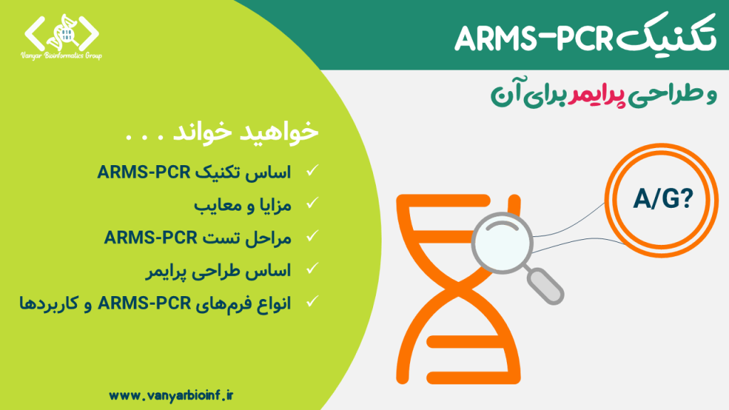 تصویر شاخص برای محتوای طراحی پرایمر برای تکنیک ARMS-PCR