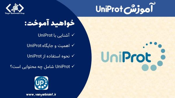 UniProt چیست؟ آموزش و معرفی گام‌به‌گام UniProt | گروه بیوانفورماتیک وانیار